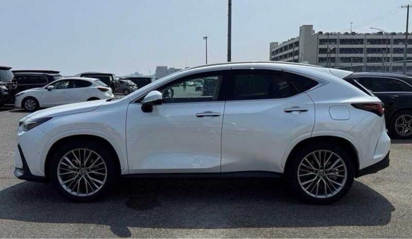 2024 Lexus NX 2,5L 2024 Cyprus