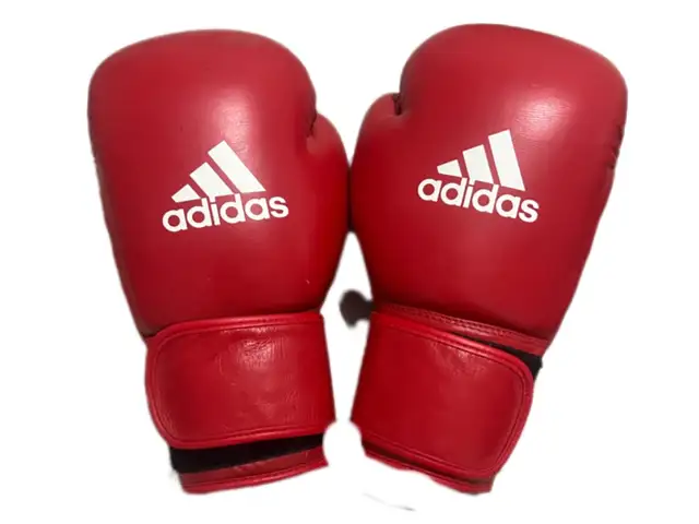 Proffesional aiba 10oz boxing gloves, Larnaca — Drosia