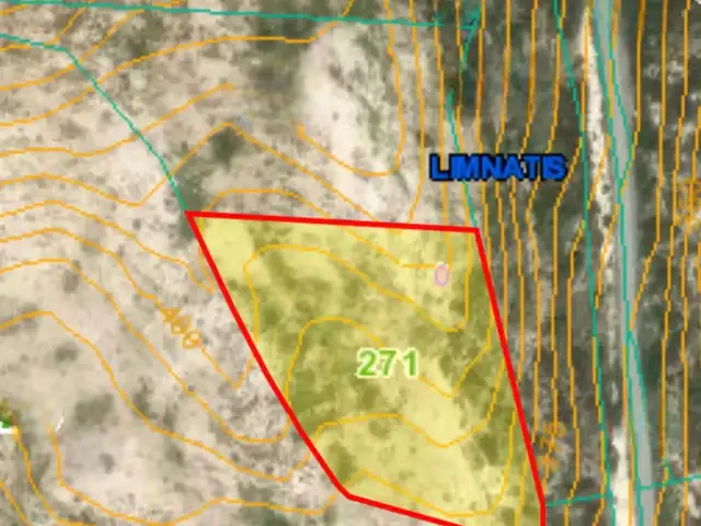 Agricultural Field 9205 m², Limassol — Limnatis