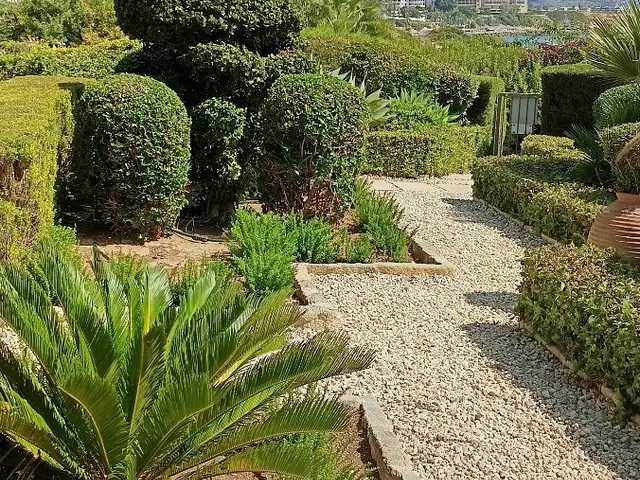 Cleaning and garden mentainance., Επαρχία Πάφου — Πέγεια