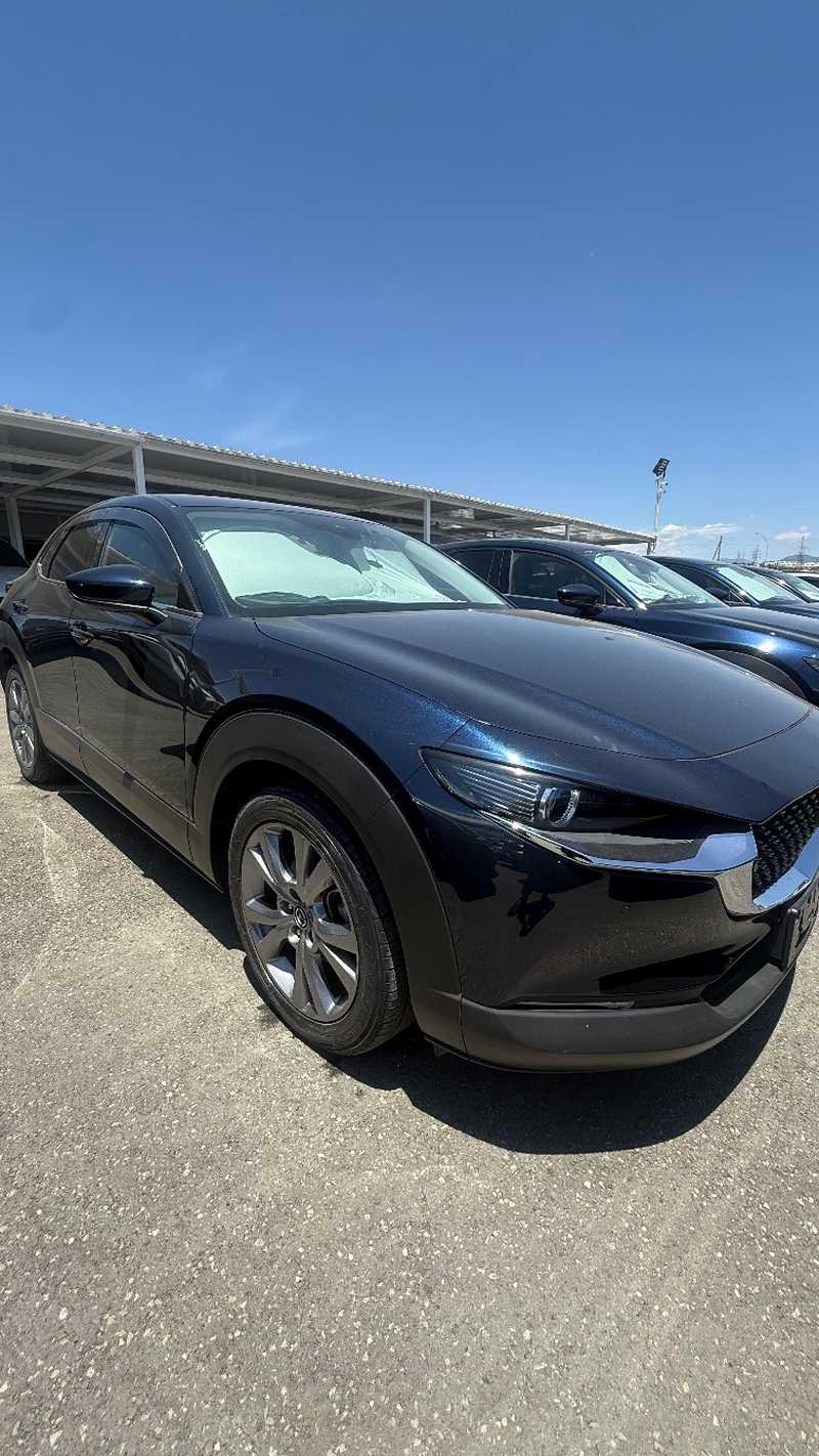 Mazda CX-30 2,0L 2022