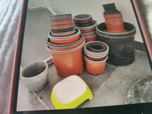 Plant pots, Επαρχία Λεμεσού — Κάτω Πολεμίδια