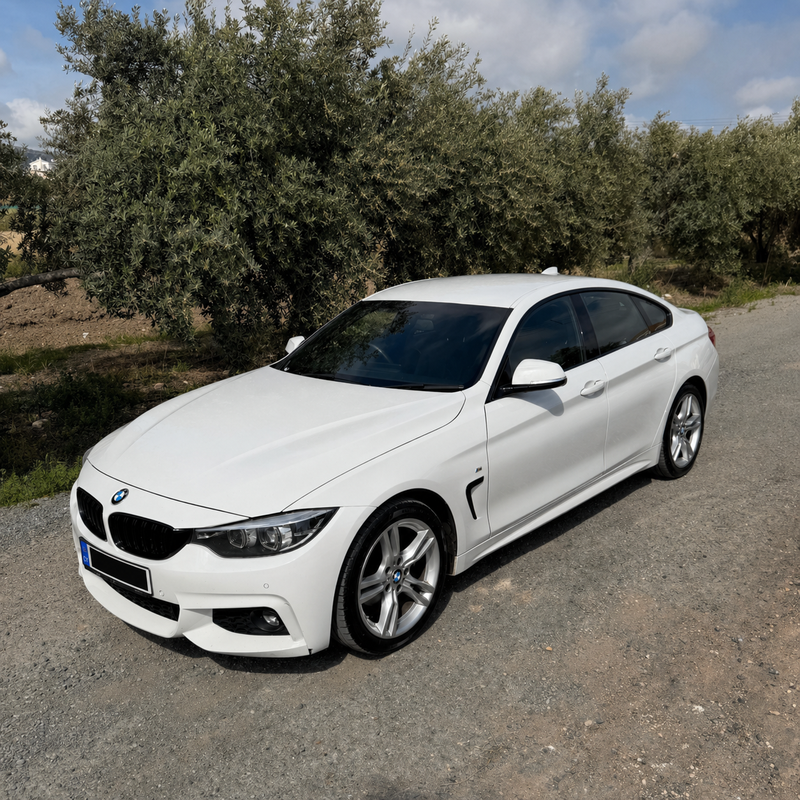 BMW 4-Series 2,0L 2017