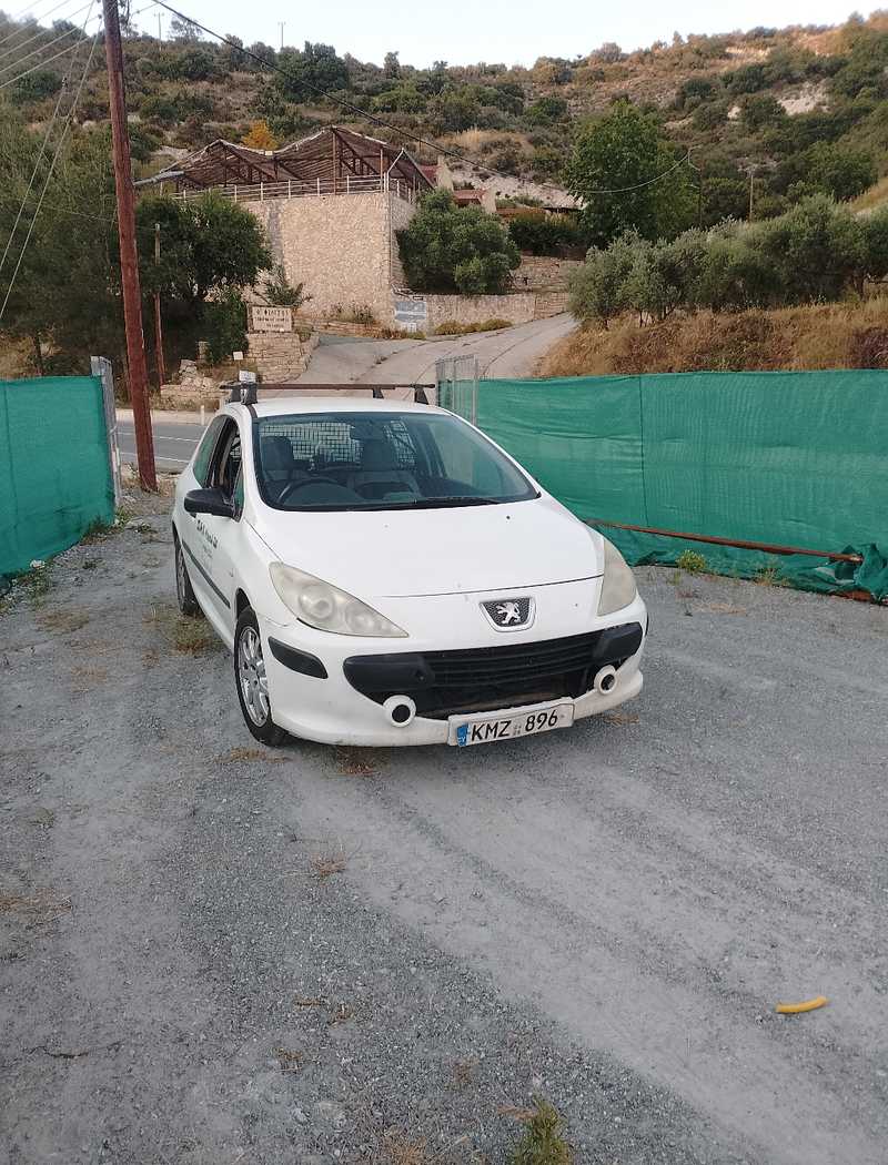 Peugeot 307 1,4L 2006