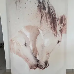Horse canvas print 2,17x1,78, Επαρχία Πάφου — Αγία Μαρινούδα