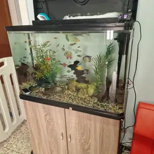 Aquarium with fish and accessories, Paphos — Chlorakas