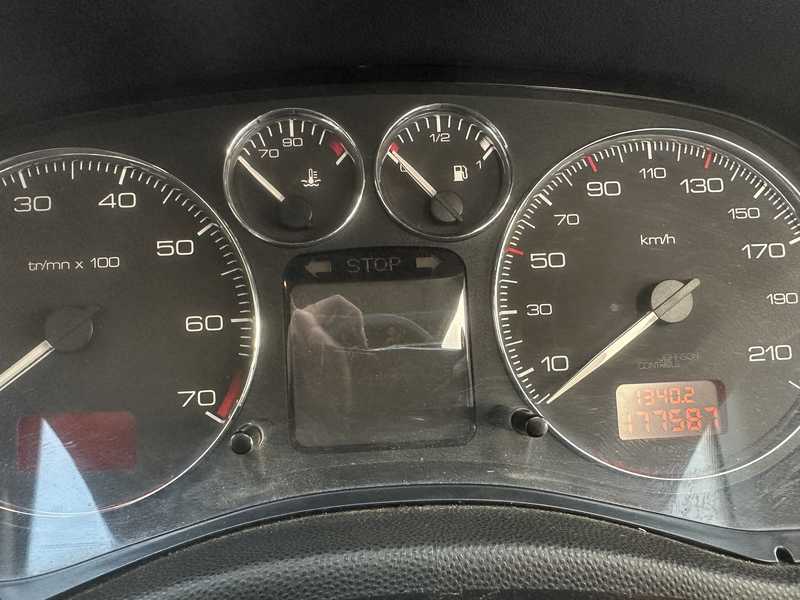 2007 Peugeot 307 1,6L 2007 Cyprus