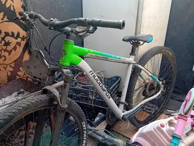 MUDDYFOX, Nicosia — Nicosia - Kaimakli