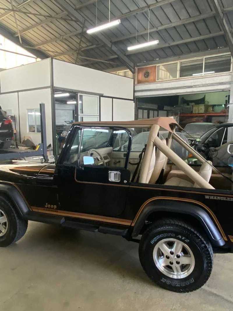 1988 Jeep Wrangler 4,2L 1988 Cyprus