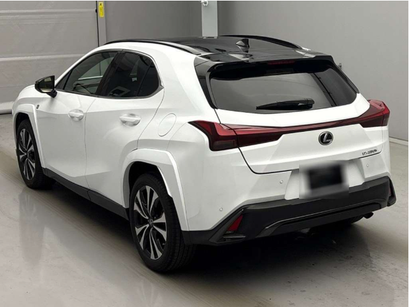 2023 Lexus UX 2,0L 2023 Cyprus