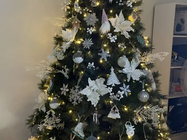 Χριστουγεννιατικο δεντρο / christmas tree, Επαρχία Λάρνακας — Λάρνακα - Καμάρες