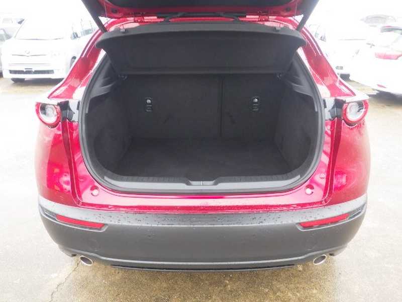 2023 Mazda CX-30 2,0L 2023 Cyprus