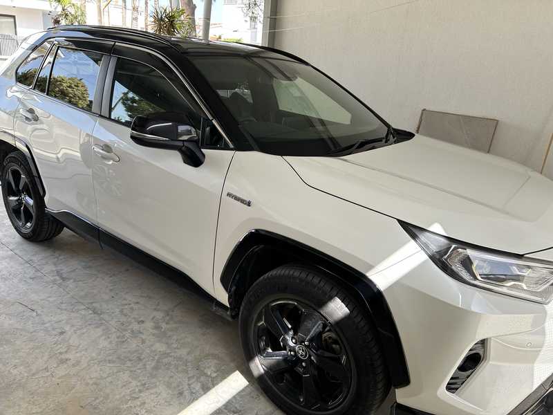 2019 Toyota RAV4 2,5L 2019 Cyprus