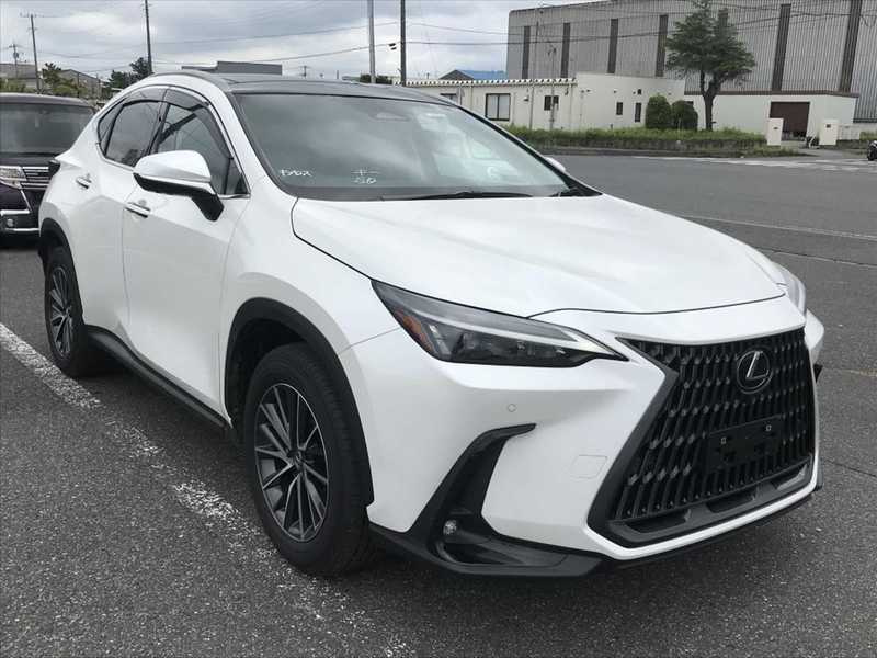 2025 Lexus NX 2,5L 2025 Cyprus