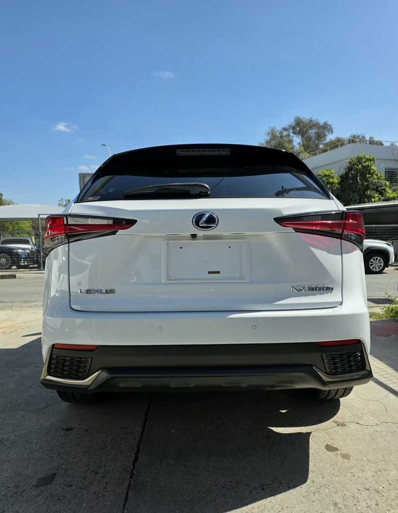 2021 Lexus NX 2,5L 2021 Cyprus