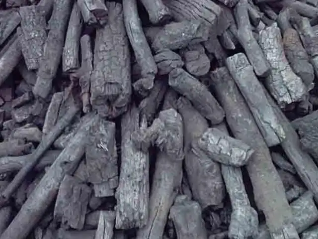 2 types of wood, Nicosia — Dali - Panag Evangelistria