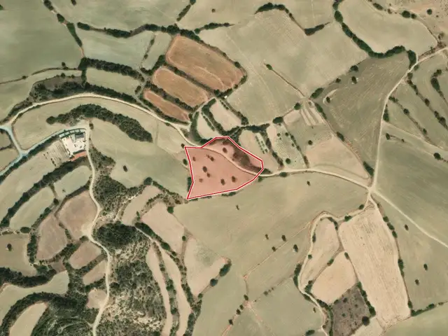 Agricultural Field 7693 m², Επαρχία Λεμεσού — Πισσούρι