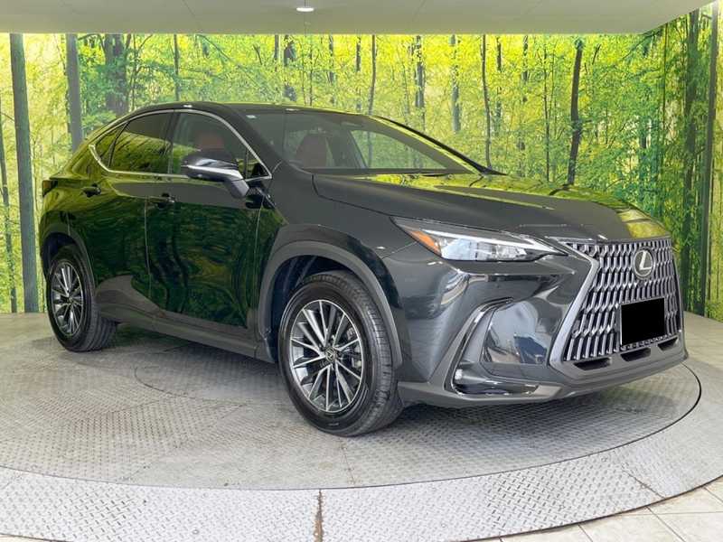 Lexus NX 2,5L 2024