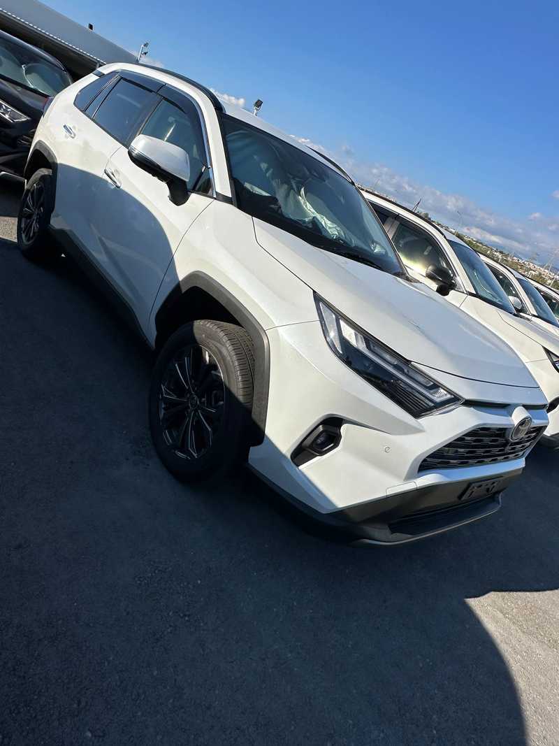 2024 Toyota RAV4 2,5L 2024 Cyprus