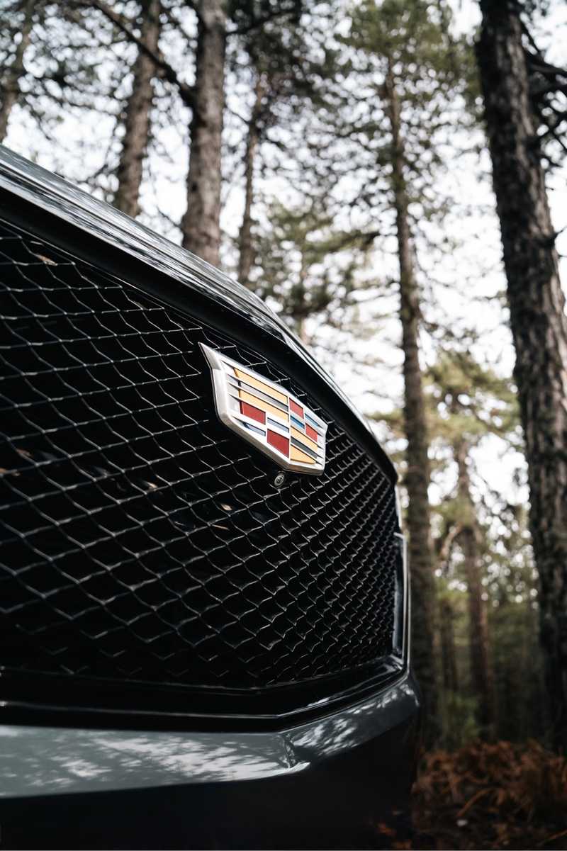 2021 Cadillac Escalade 6,2L 2021 Cyprus