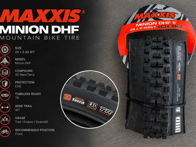 Maxxis minion dhf 29 2.40 wt mtb tire, Paphos — Paphos - Kato Paphos