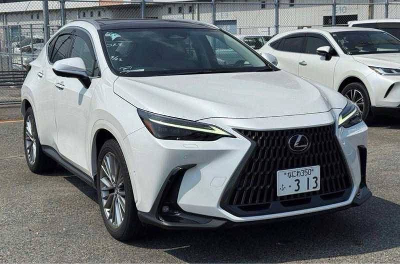 2024 Lexus NX 2,5L 2024 Cyprus