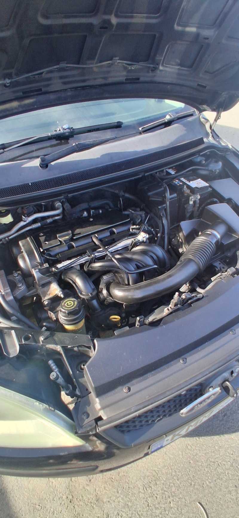 2006 Ford Focus 1,4L 2006 Cyprus