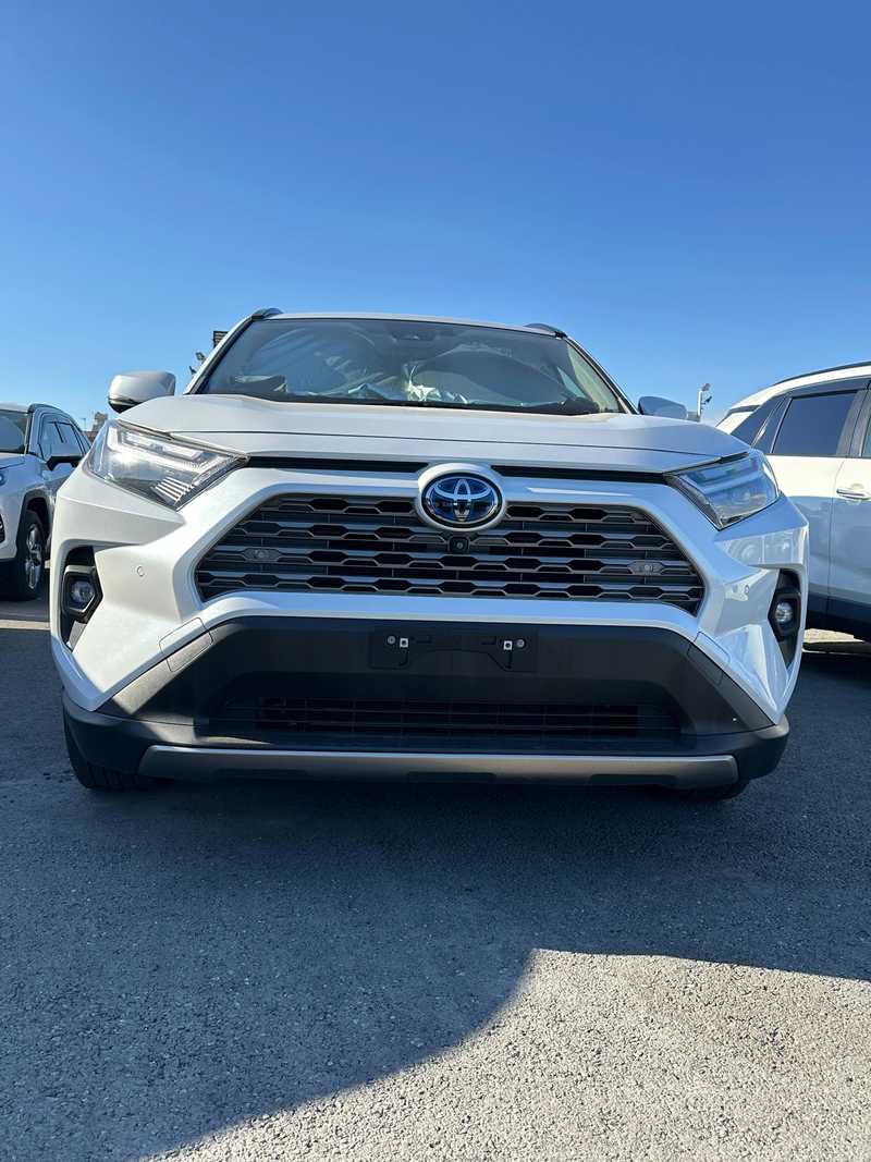 Toyota RAV4 2,5L 2024