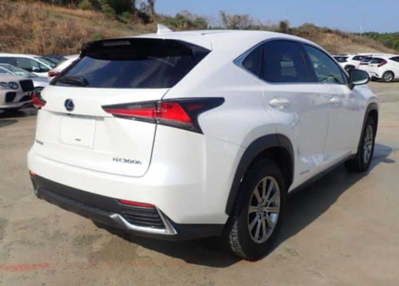 2021 Lexus NX 2,5L 2021 Cyprus
