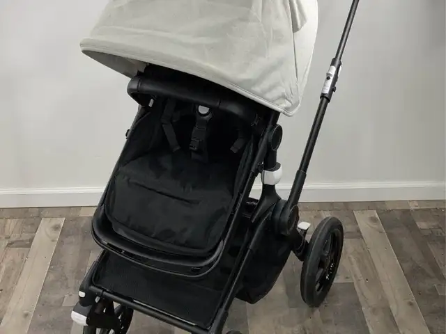 Bugaboo fox, Επαρχία Πάφου — Universal