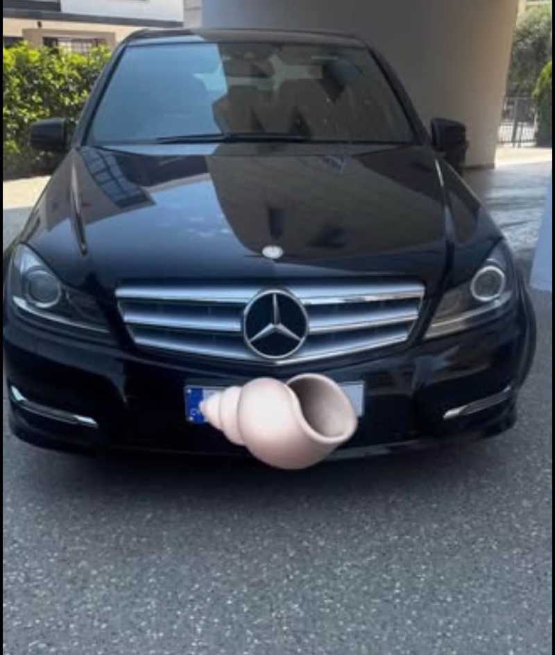 Mercedes-Benz C-Class 2,2L 2011