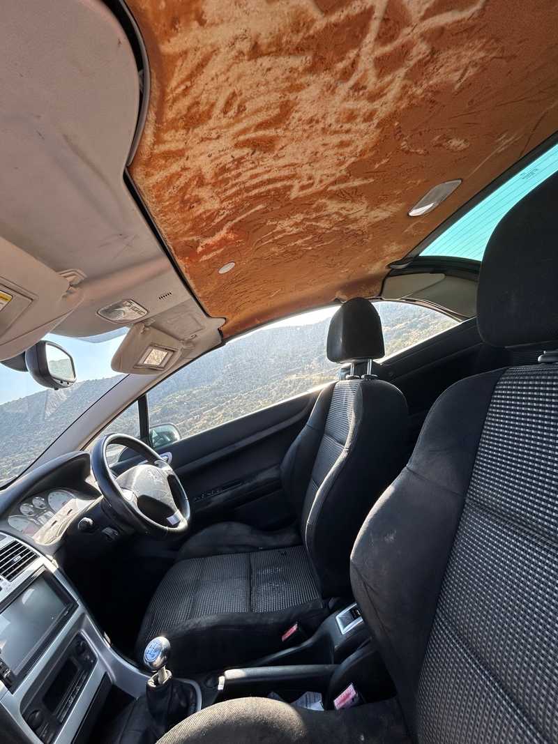 2008 Peugeot 307 1,6L 2008 Cyprus