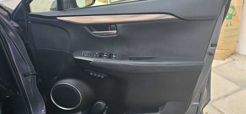 2020 Lexus NX 2,5L 2020 Cyprus