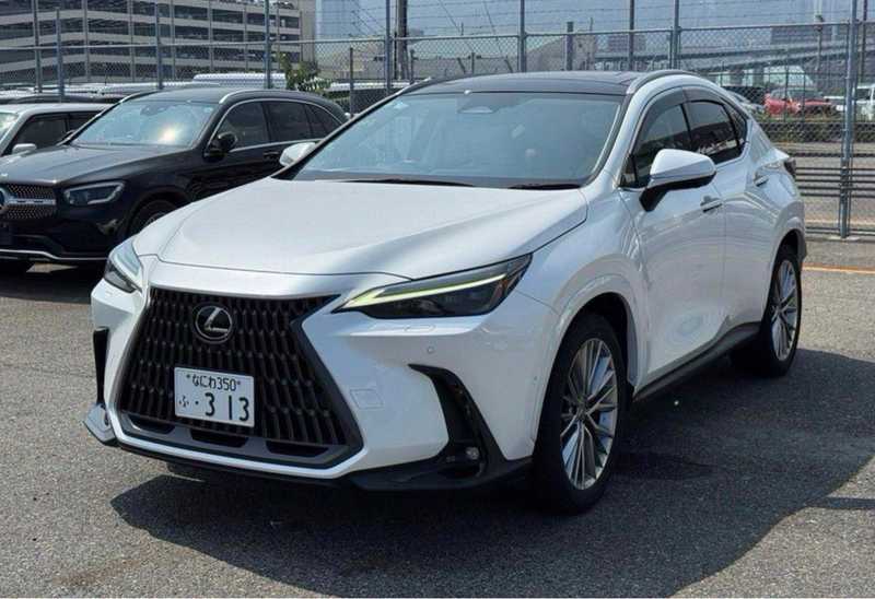 Lexus NX 2,5L 2024