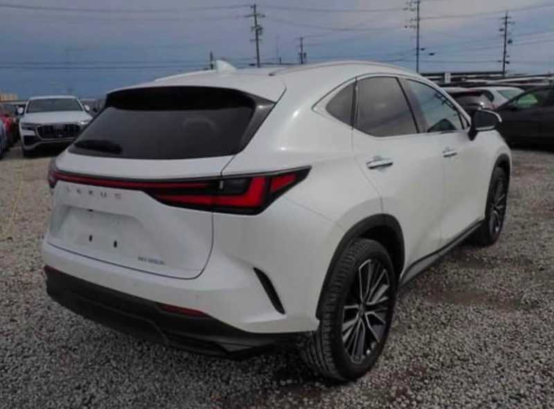 2026 Lexus NX 2,5L 2026 Cyprus
