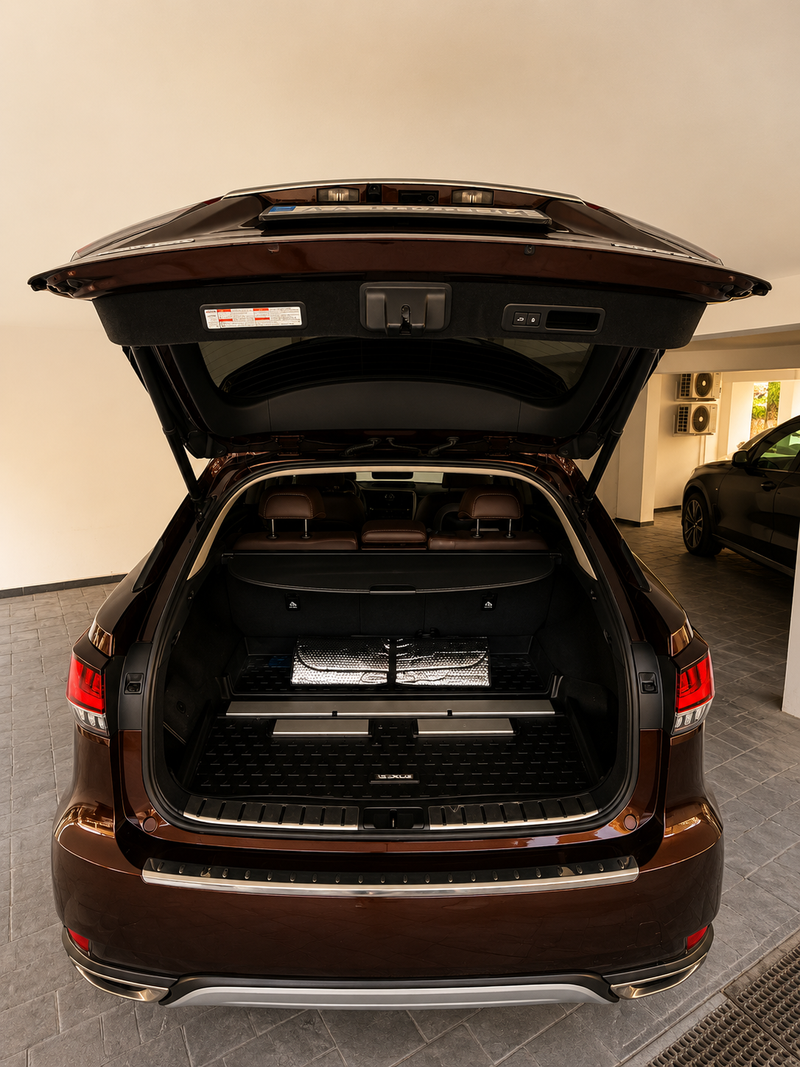 2020 Lexus RX 2,0L 2020 Cyprus