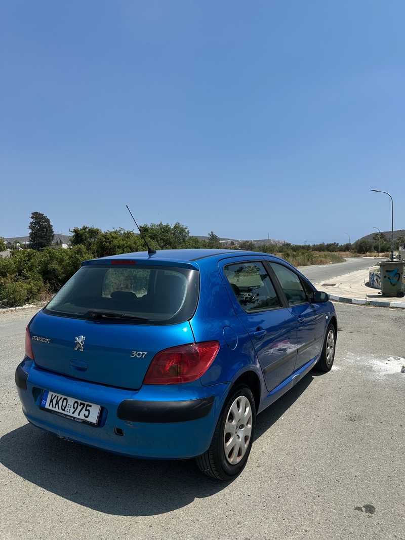 2005 Peugeot 307 1,6L 2005 Cyprus