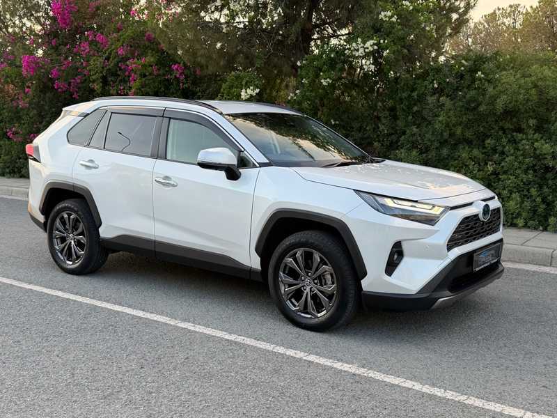 2024 Toyota RAV4 2,5L 2024 Cyprus