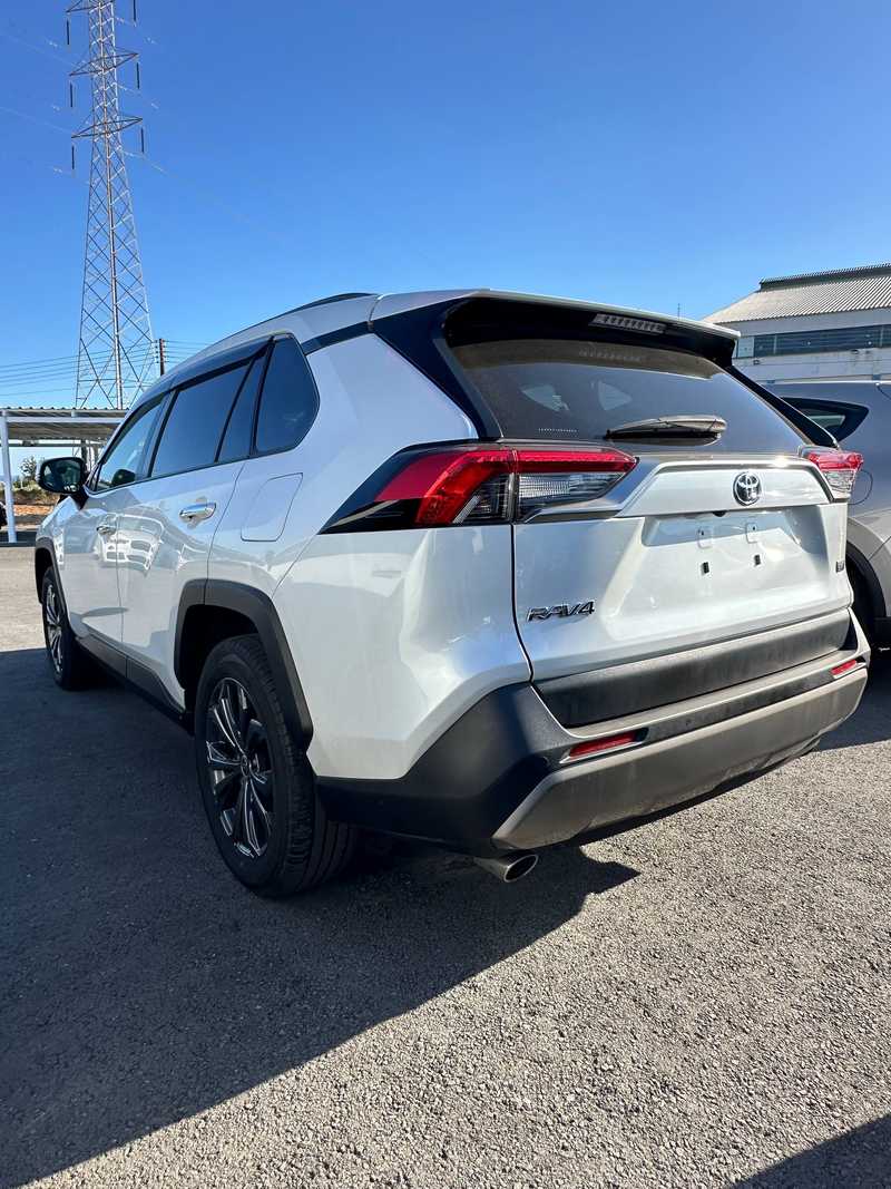 2024 Toyota RAV4 2,5L 2024 Cyprus