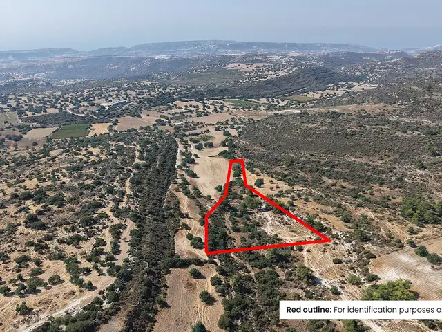 Agricultural Field 11539 m², Επαρχία Λεμεσού — Ανώγυρα