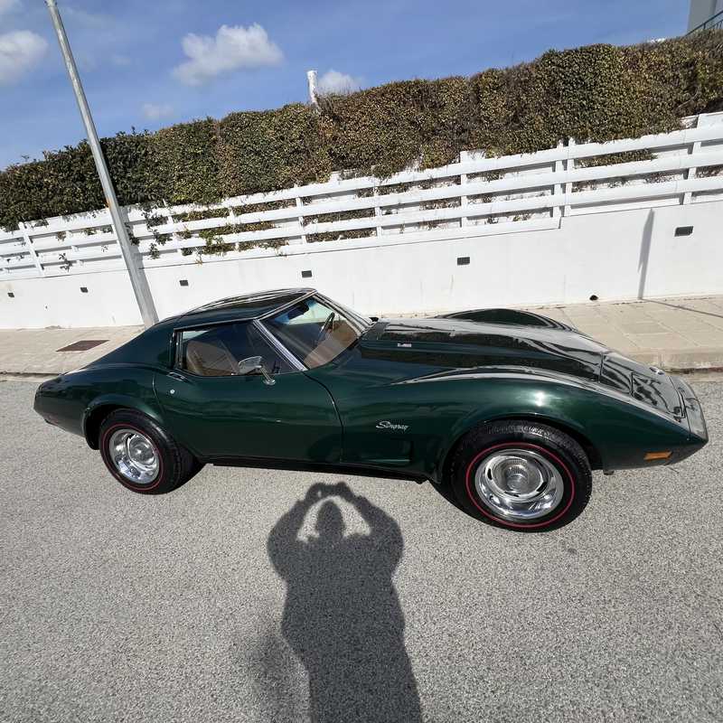 1976 Chevrolet Corvette 5,9L 1976 Cyprus