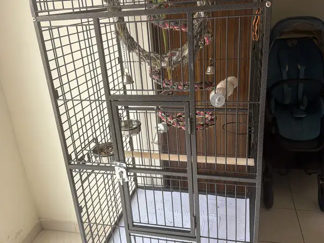 Cage for big parrots, Limassol — Germasogeia Tourist Area