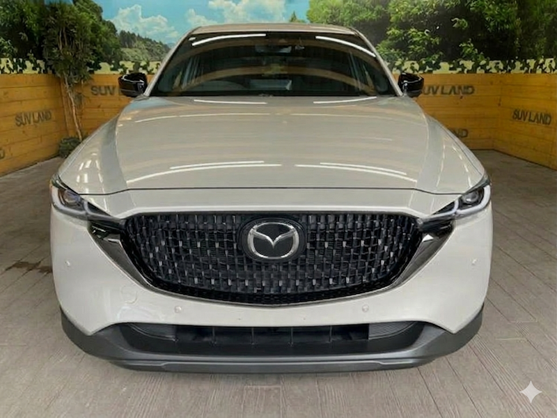 2023 Mazda CX-8 2,5L 2023 Cyprus