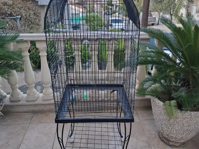 Κλουβί, Nicosia — Aglantzia