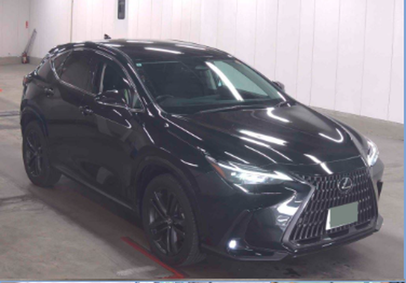 Lexus NX 2,5L 2024