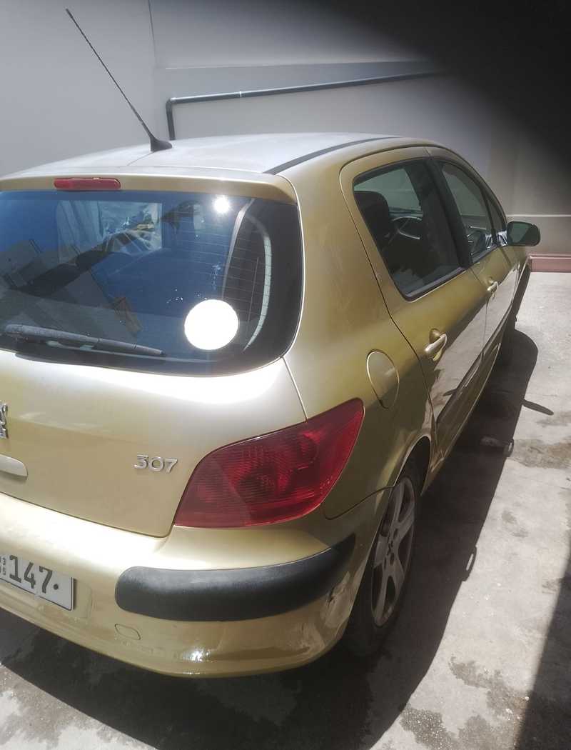 2005 Peugeot 307 1,6L 2005 Cyprus