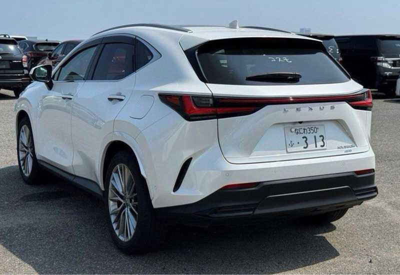 2024 Lexus NX 2,5L 2024 Cyprus