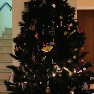 Cristmas tree 2,40 hight, Paphos — Paphos - Agios Pavlos