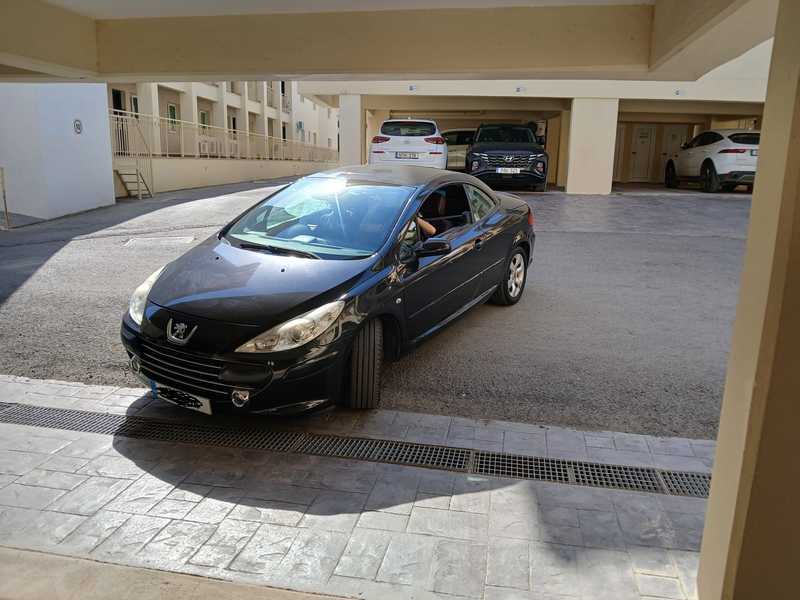 2005 Peugeot 307 1,6L 2005 Cyprus