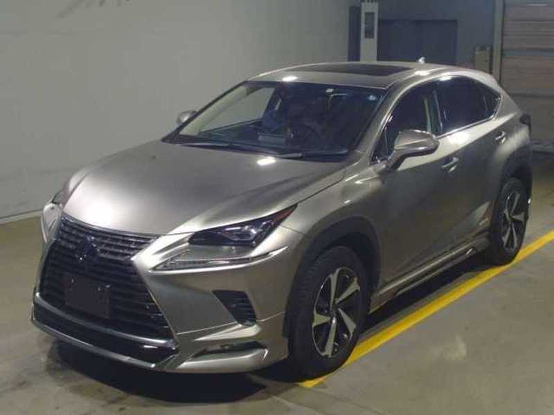 Lexus NX 2,5L 2022